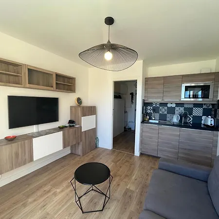 Apartment A Avec Vue Mer, Climatisation Et Parking Prive - Fr-1-338-617